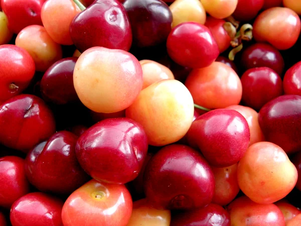 Stock image Sweet cherries