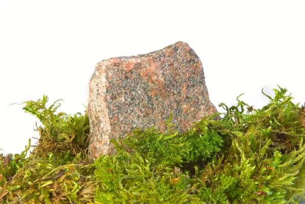 Камни и мох — стоковое фото