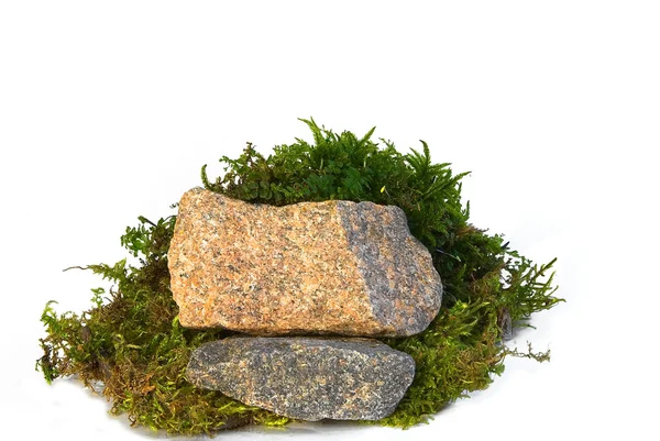 Камені і мох — стокове фото