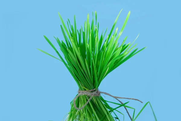 Bündel Gras — Stockfoto