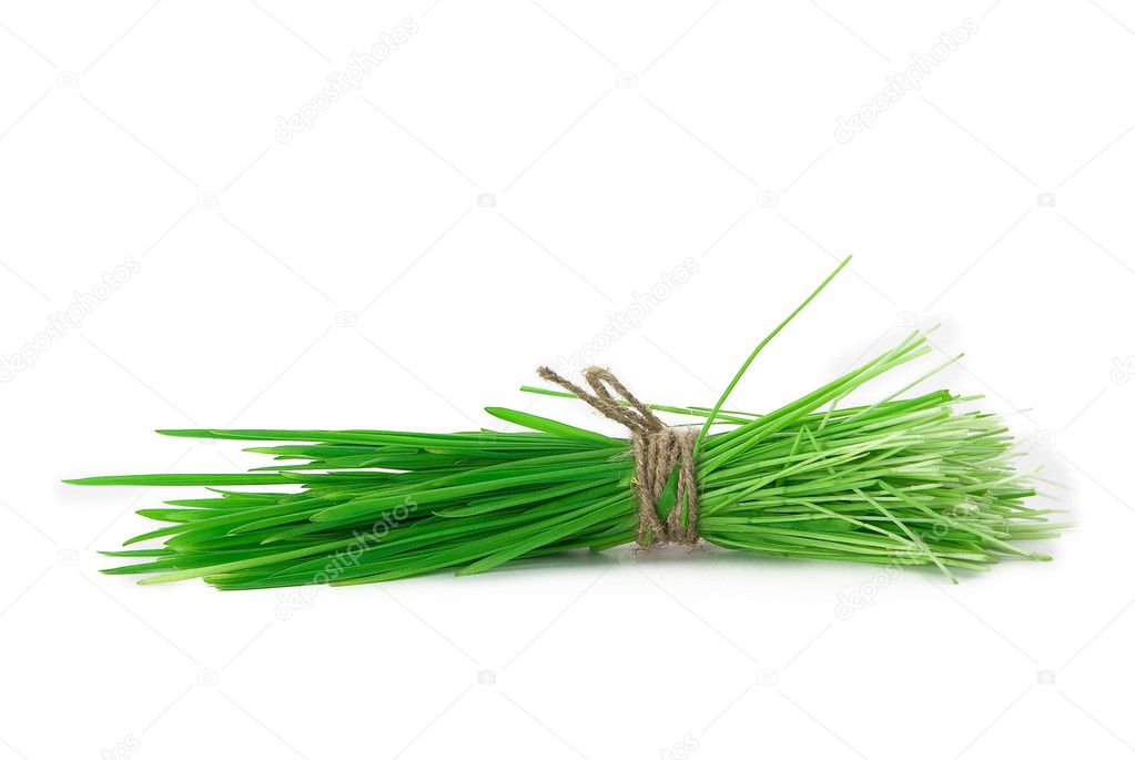 Bunch of grass Stock Photo by ©max5128 2898435
