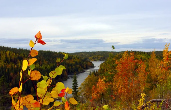秋の山の風景 — ストック写真