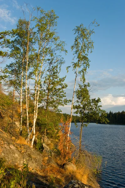 Βραχώδους δάσους σε λίμνη — Φωτογραφία Αρχείου