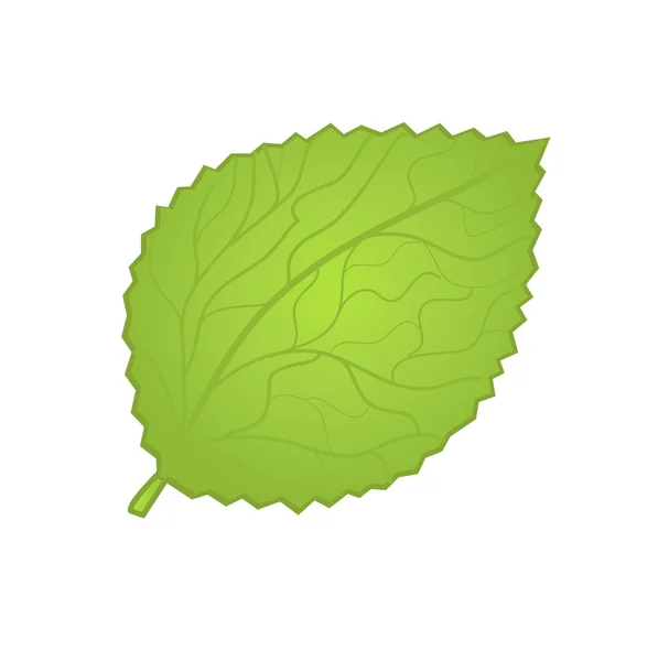 白い background.vector の緑の葉. — ストックベクタ