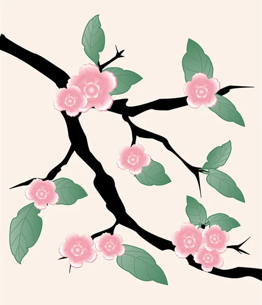 Banderas de flores de cerezo Sakura. Vector . — Vector de stock