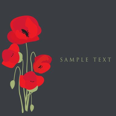 Vintage greeting card with poppy flower. clipart