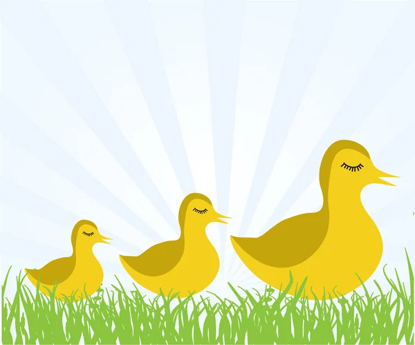 Ducks family on the grass. — Stock Vector