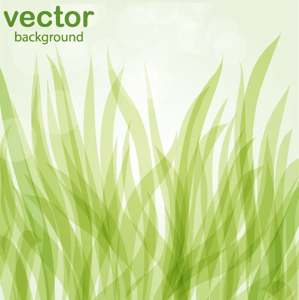 Fond abstrait avec des feuilles vertes — Image vectorielle