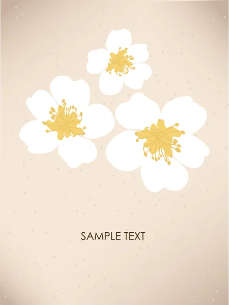 桜の花を持つビンテージ グリーティング カード — ストックベクタ
