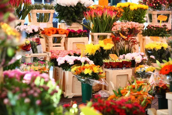 Blumenmarkt in Amsterdam — Stockfoto