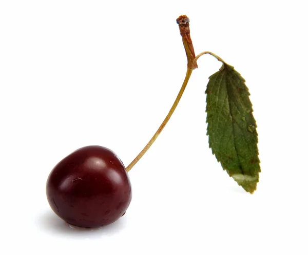 Sweet cherry izolované na bílém — Stock fotografie