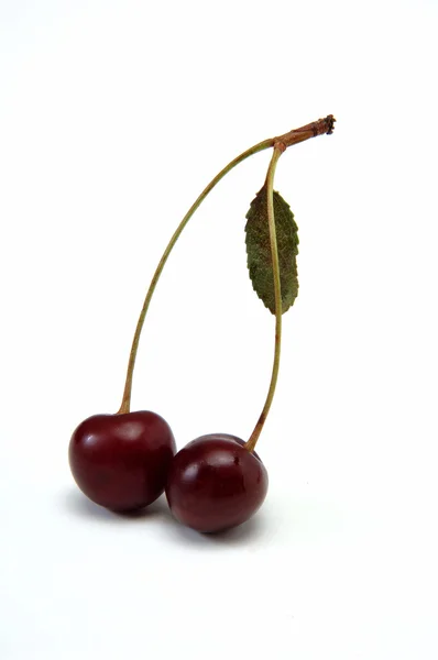 Красные ягоды вишни с зелеными листьями — стоковое фото