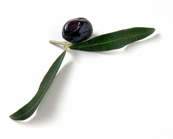 Olives et feuilles — Photo