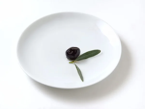 stock image Olive and leaf