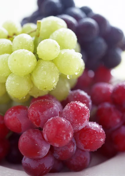 Les raisins mûrs sont saupoudrés de gouttes de — Photo