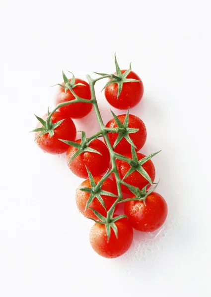 Ramo com tomates maduros em um fundo branco — Fotografia de Stock