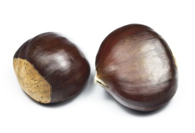 Kestane (castanea sativa)