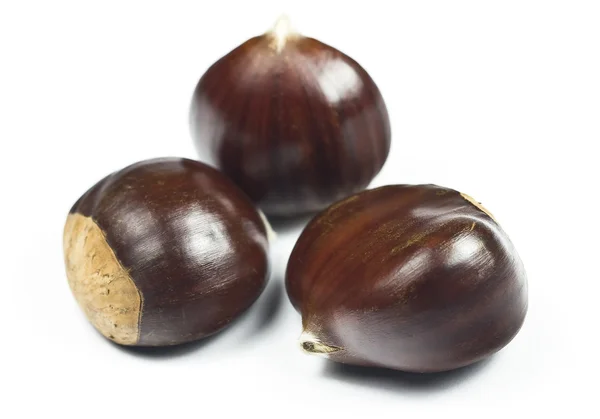 Chestnuts (castanea sativa) — Stock Photo, Image