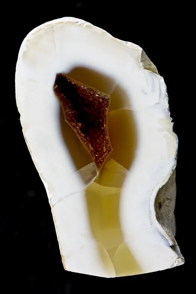 Calcedônia geode — Fotografia de Stock