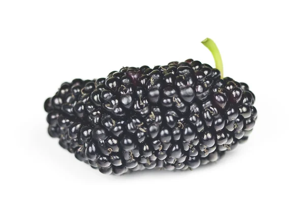 Organic Mulberry — Stock Photo, Image