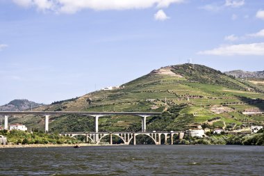 Bridges of the Douro River clipart