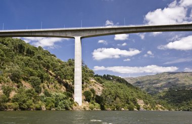 Bridges of the Douro River clipart