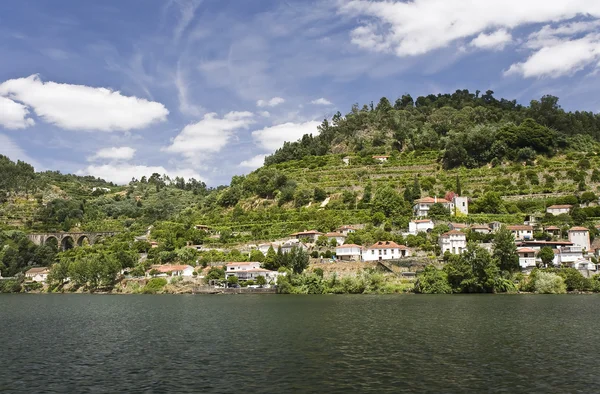Le rive del fiume Douro — Foto Stock