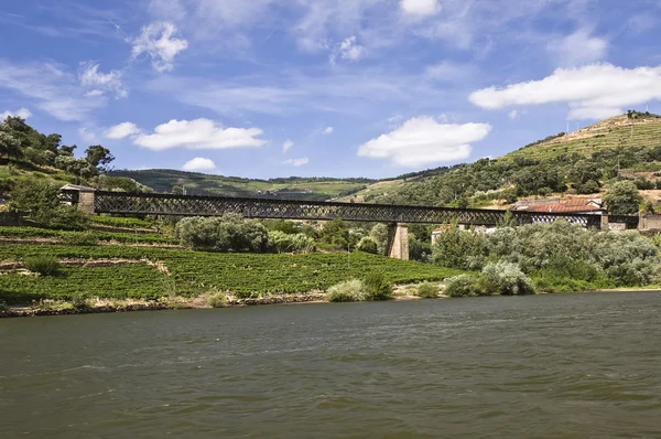 Mosty řeku douro — Stock fotografie