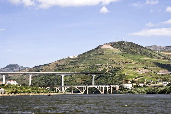 Brücken über den Douro — Stockfoto