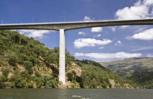Bruggen van de douro-rivier — Stockfoto