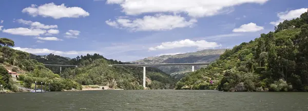 stock image Bridges of the Douro River