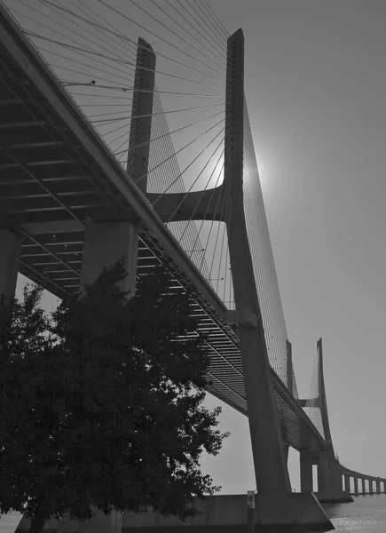 Ponte Vasco da Gama — Fotografia de Stock
