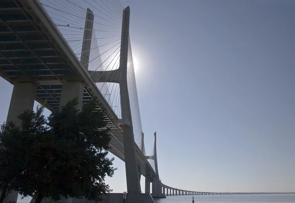 stock image Vasco da Gama Bridge