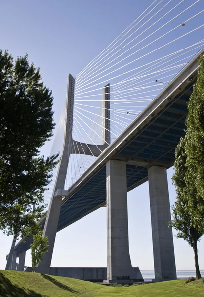 stock image Vasco da Gama Bridge