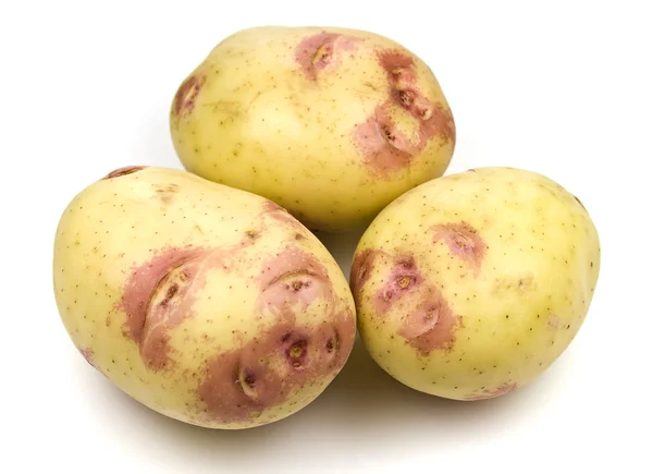 Розовый картофель — стоковое фото