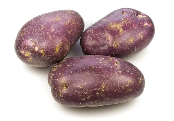 Королевский синий картофель — стоковое фото