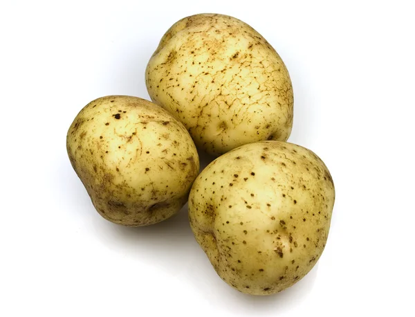 Золотий захоплення картопля — стокове фото