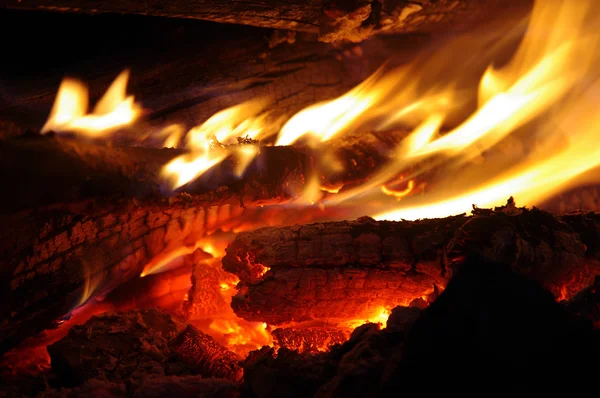 Flamme in einem Feuer. Lagerfeuer. — Stockfoto