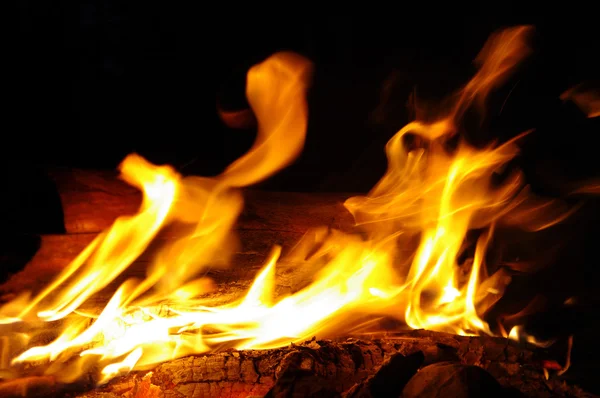 Stock image Flame in a fire