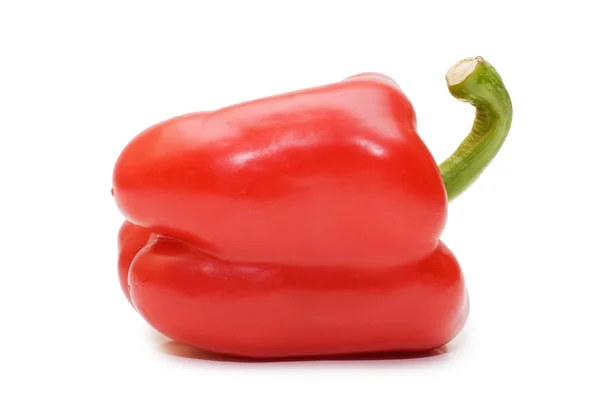 Bulgarian pepper isolated on white — Stock Photo, Image