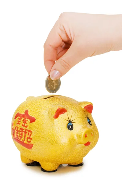 Banco porquinho e mão com moeda isolada — Fotografia de Stock