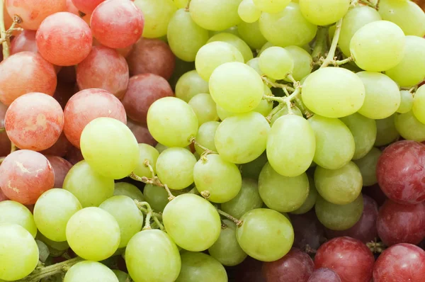 Red and green fresh grapes — Stock Photo, Image