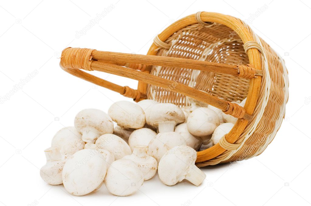 Wattled basket with field mushrooms isolated
