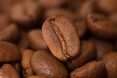 Close up macro shot of coffee bean clipart