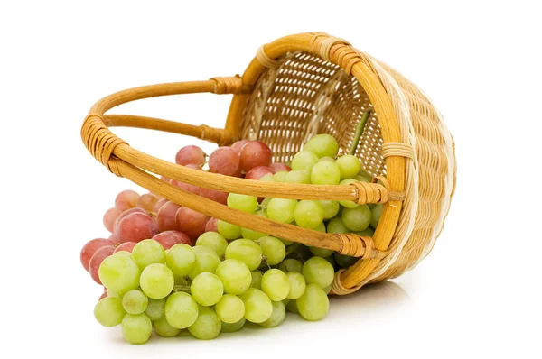 Wattled basket with grapes isolated — Stock Photo, Image