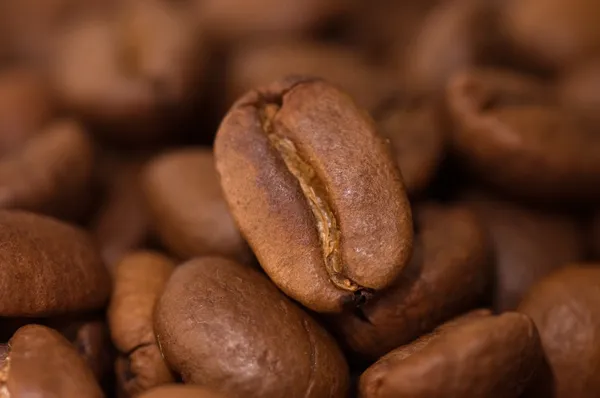 Закройте макроснимок кофейных зерен — стоковое фото