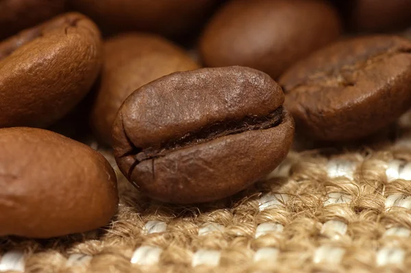Coffee bean on sacking — Stock Photo, Image