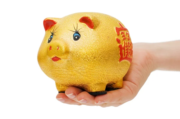Piggy bank en hand met munt — Stockfoto
