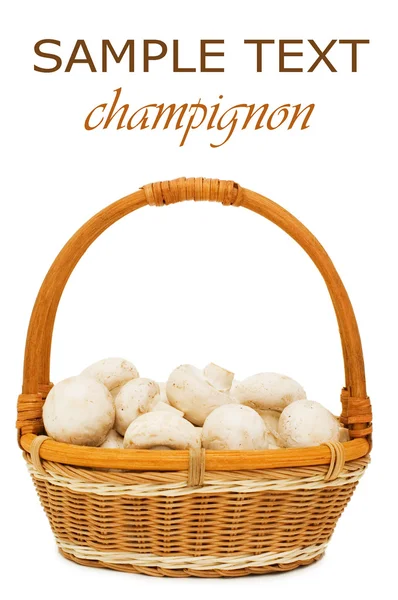 Wattled basket with field mushrooms — Stock Photo, Image
