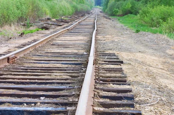 森の中の古い鉄道線路は — ストック写真